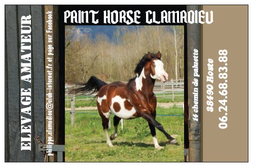 Elevage amateur Paint Horse Clamadieu