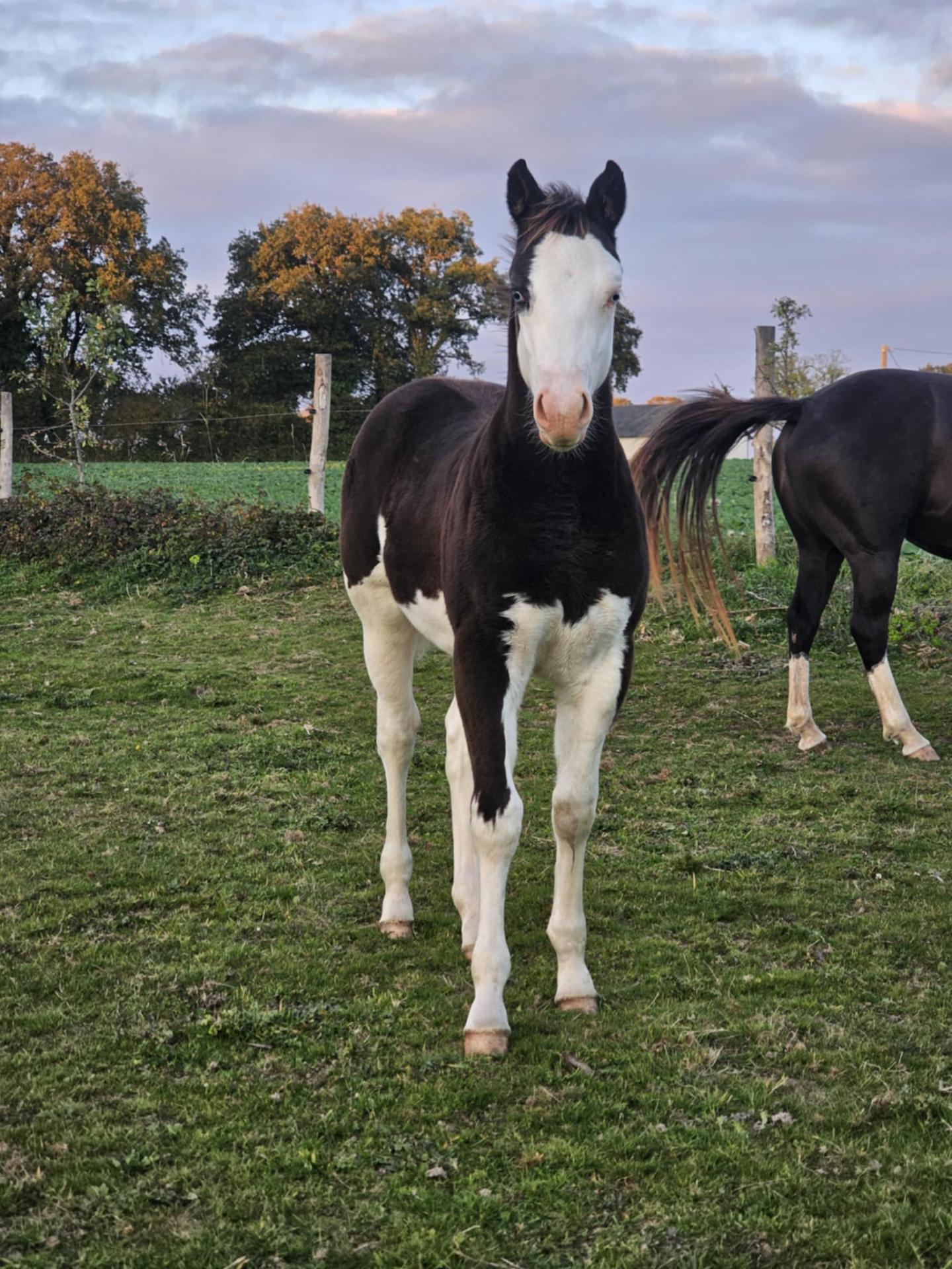 36dd2ec2 f512 4f46 aeb2 5cc98a262e03 1