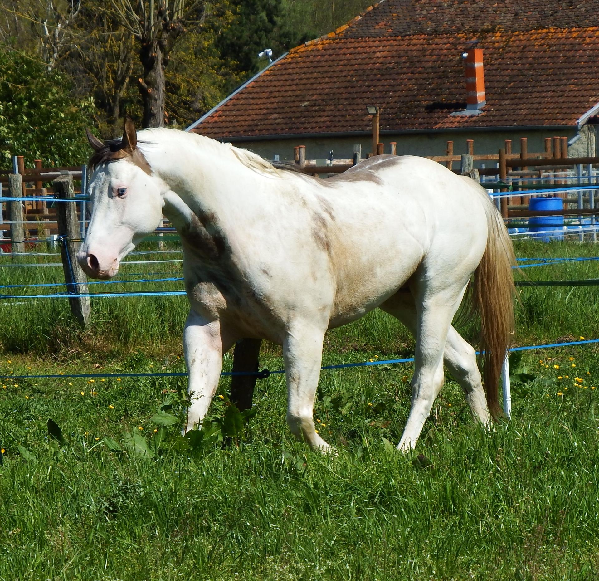 Dscf1079