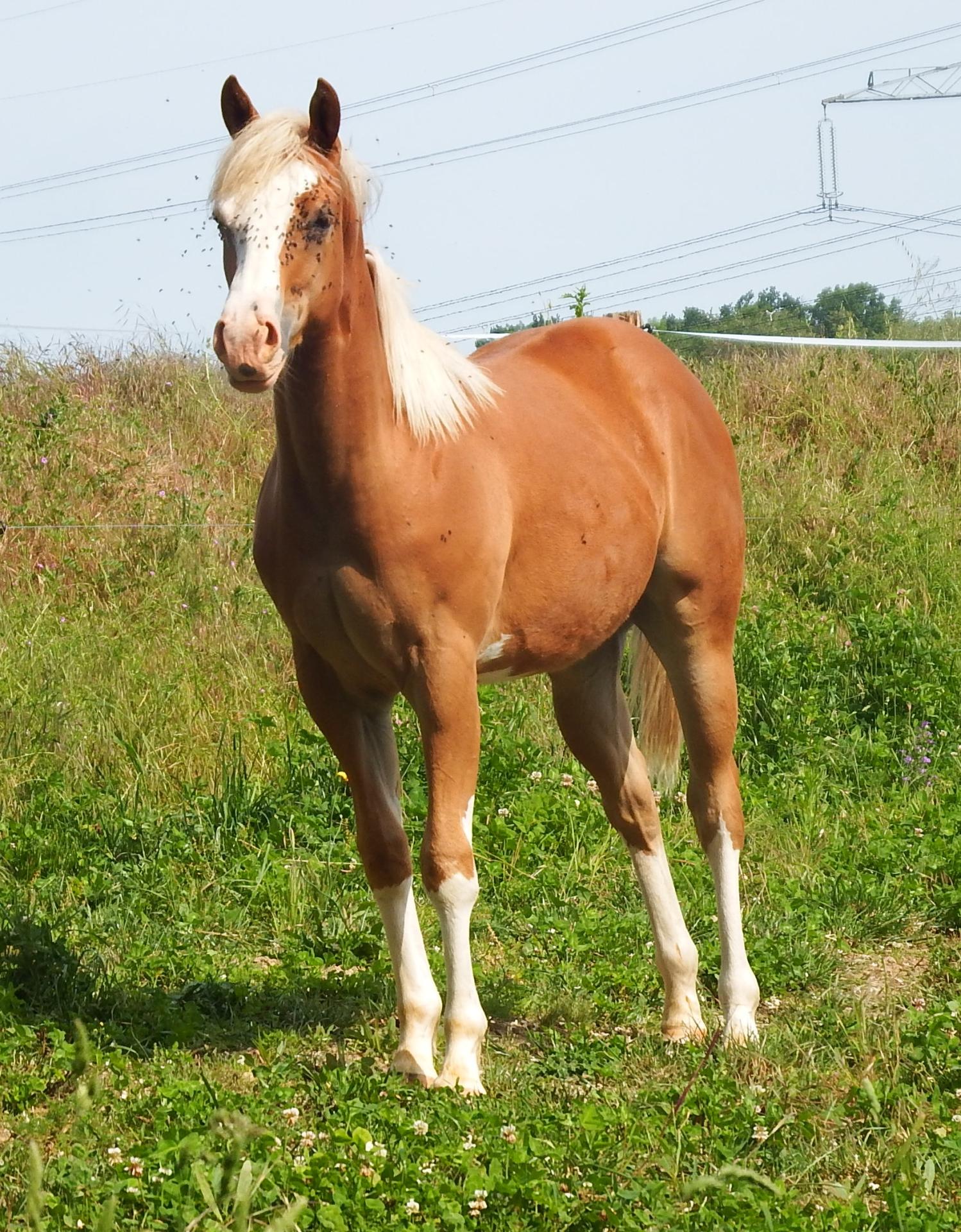 Dscf1172