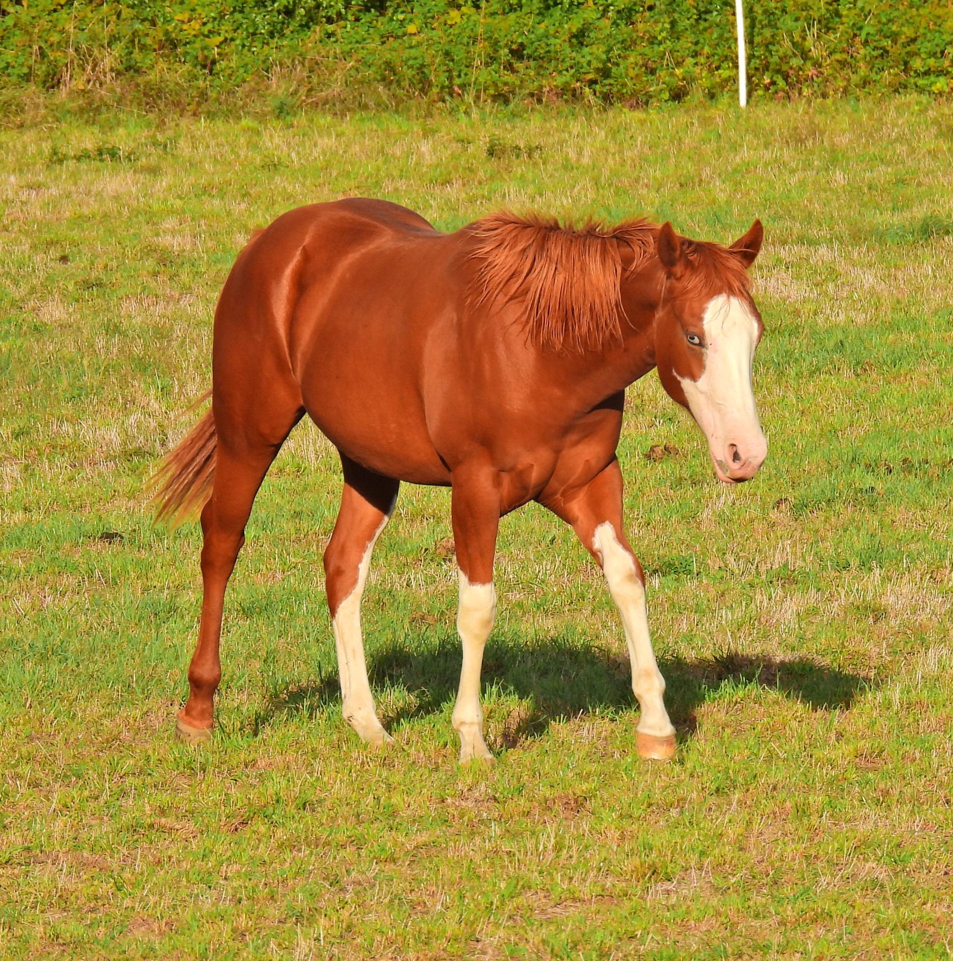 Dscn0748