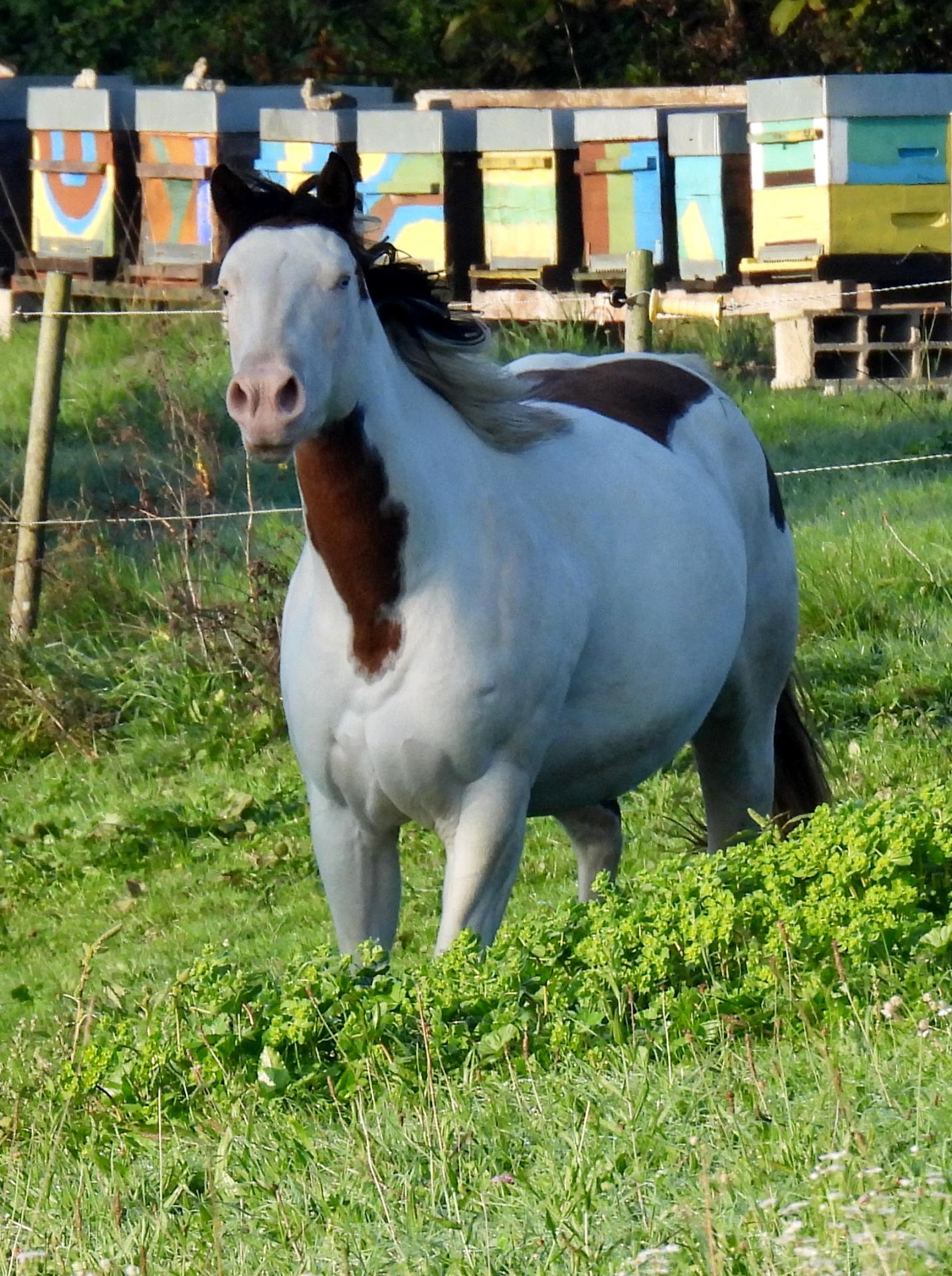 Dscn5816