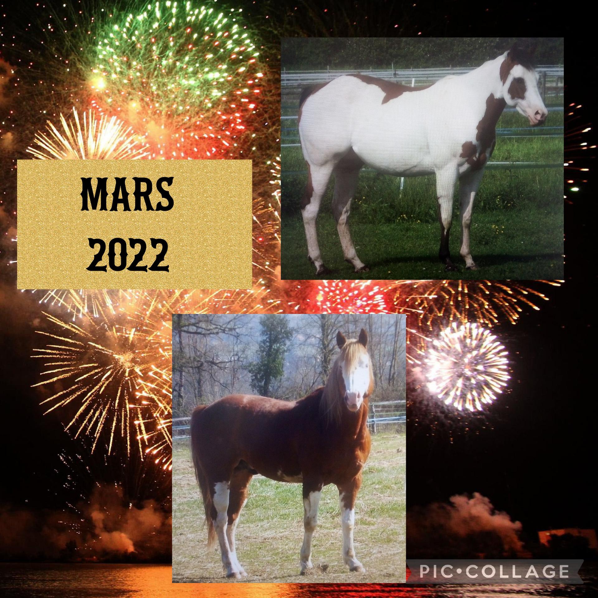 Montage 3 2